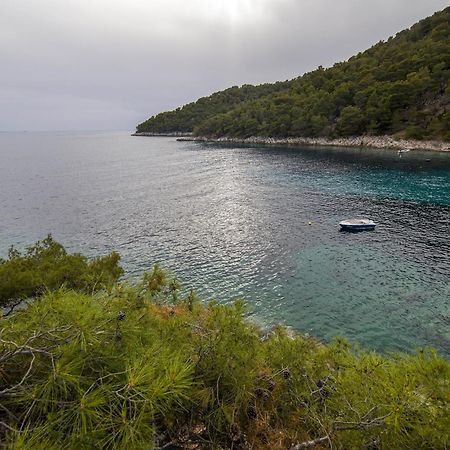 Secluded Fisherman'S Cottage Cove Skozanje, Hvar - 4009 Gdinj Екстериор снимка